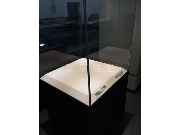 恒溫恒濕展柜